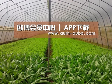 种植基地四