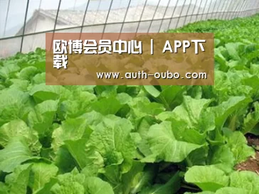种植基地一