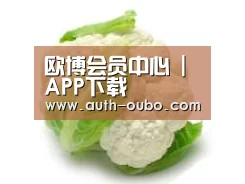 产品名称九