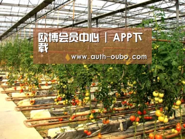种植基地二(图1)