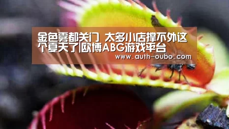 欧博