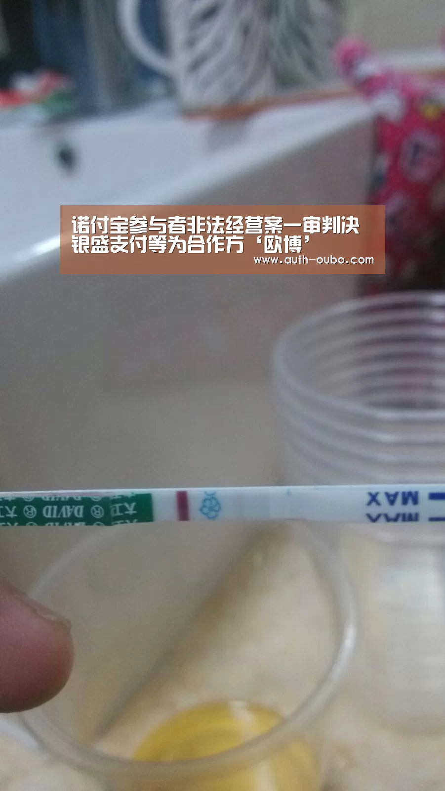 欧博