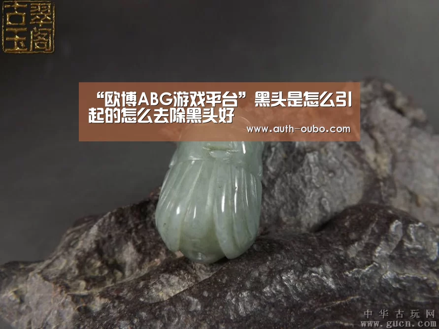 “欧博ABG游戏平台”黑头是怎么引起的怎么去除黑头好(图3) 欧博ABG官网
