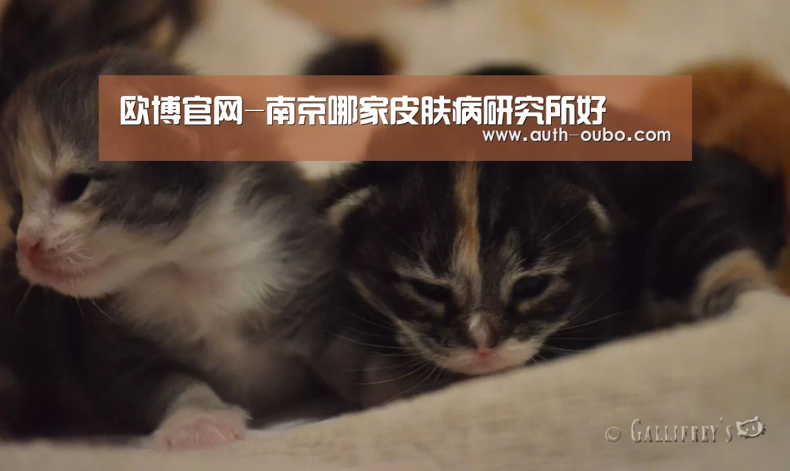 欧博官网