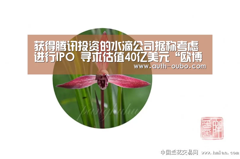 欧博
